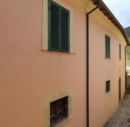 Il Gallo D' Oro - Pulcino *