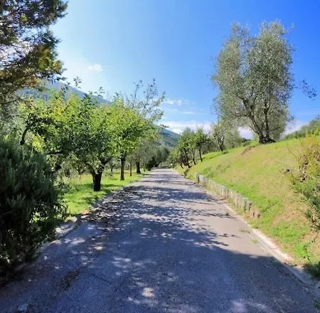 Il Gallo D' Oro - Pulcino Borgo Velino