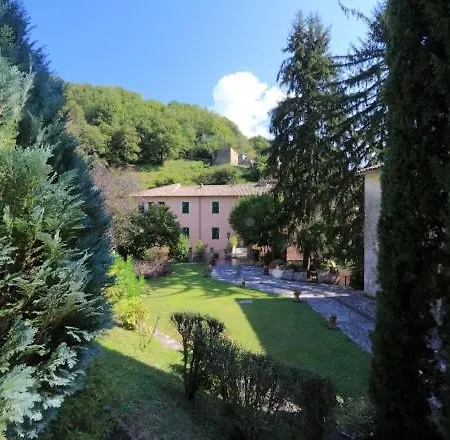 Il Gallo D' Oro - Pulcino *